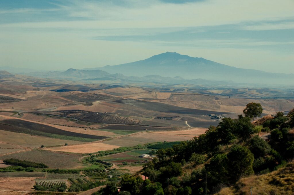 Siciliaanse platteland grillo druif wijn
