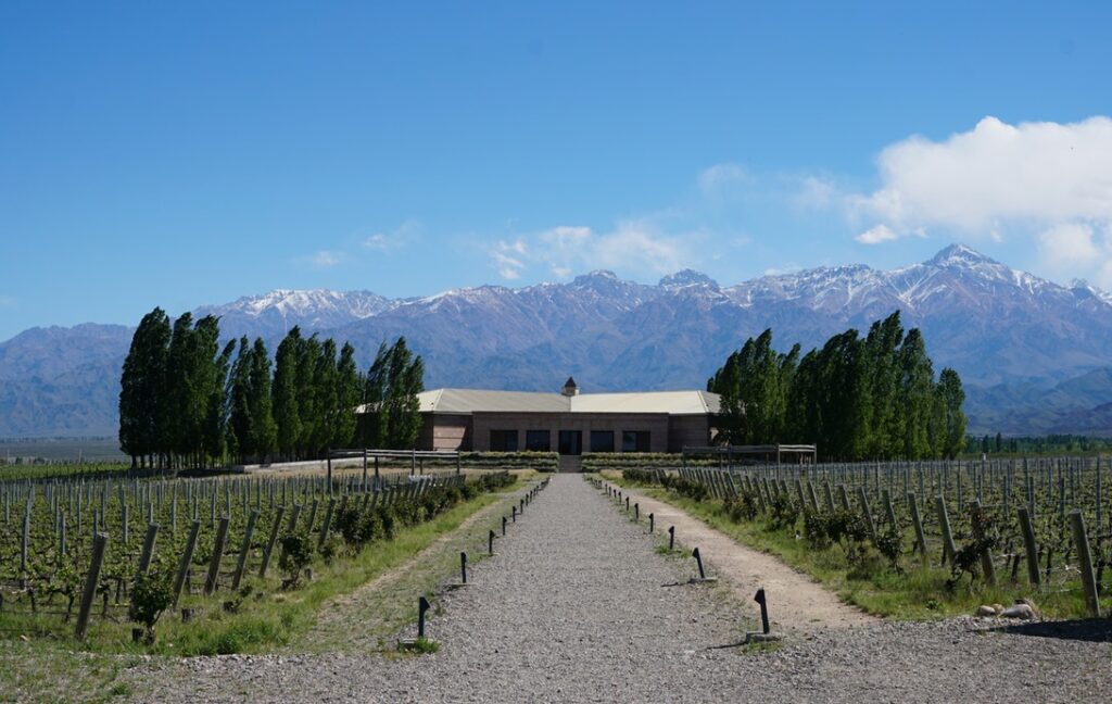 wijnhuis in de Mendoza met wijngaard en andes gebergte
